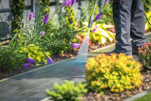 Best Gutter Cleaning  in Petaluma, CA