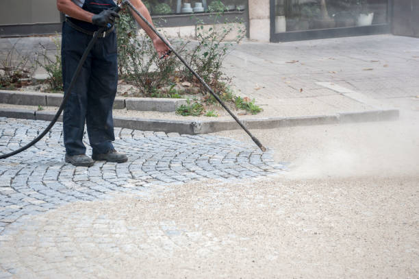 Animal Enclosure Cleaning in Petaluma, CA