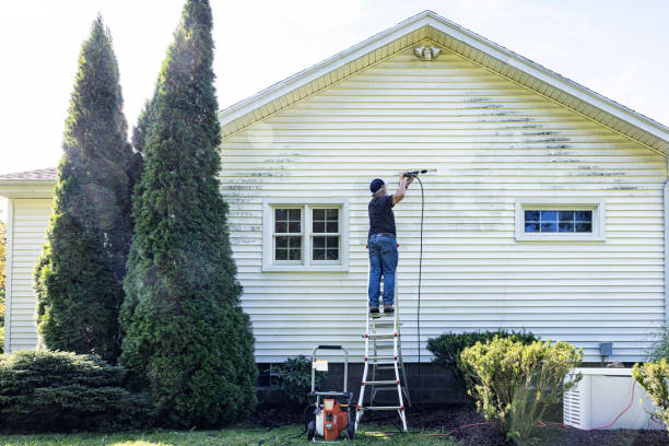 Best Driveway Pressure Washing  in Petaluma, CA